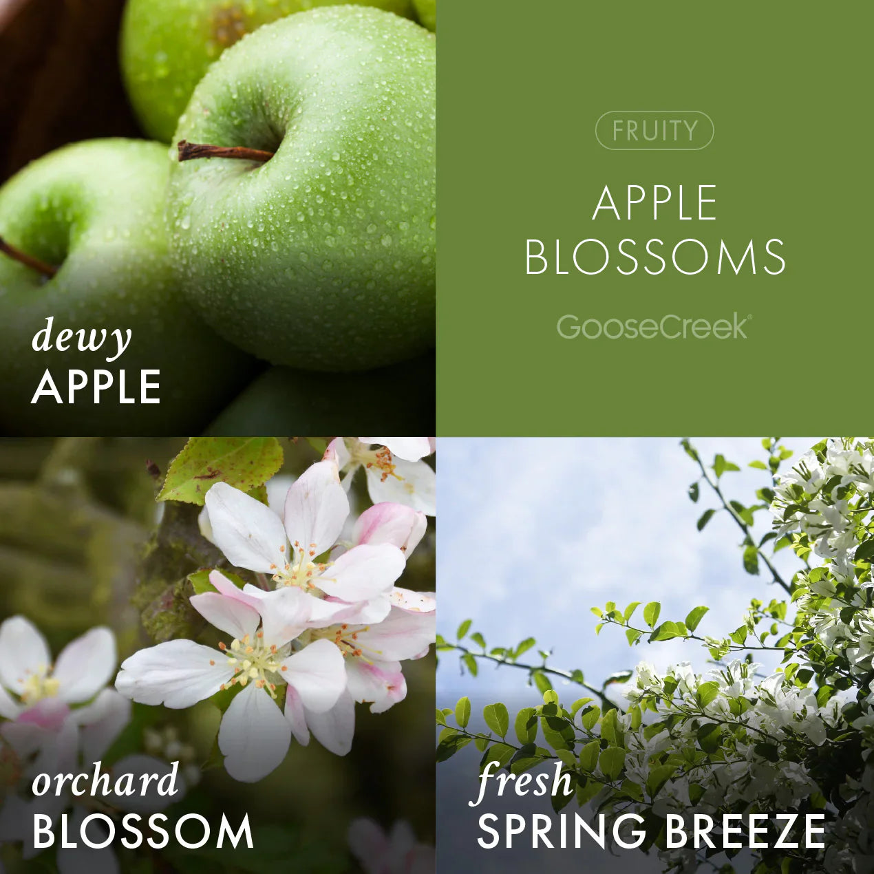 Apple Blossoms 3-Wick Candle