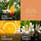 Orange Blossom 3-Wick Candle