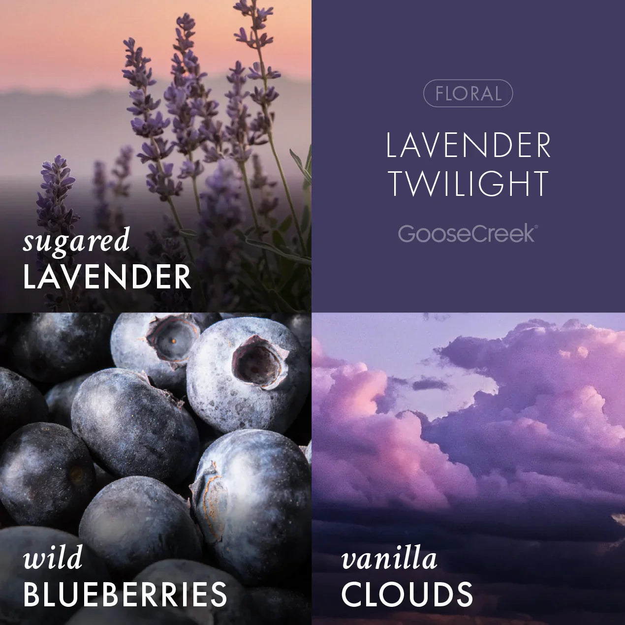 Lavender Twilight 3-Wick Candle