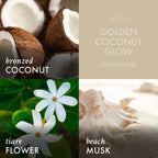 Golden Coconut Glow 3-Wick Candle